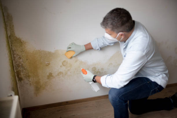 Asbestos and Lead Testing During Mold Inspection